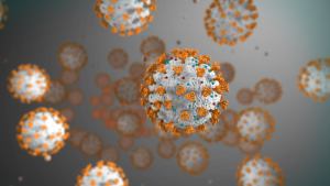 molekulardiagnostischen Test